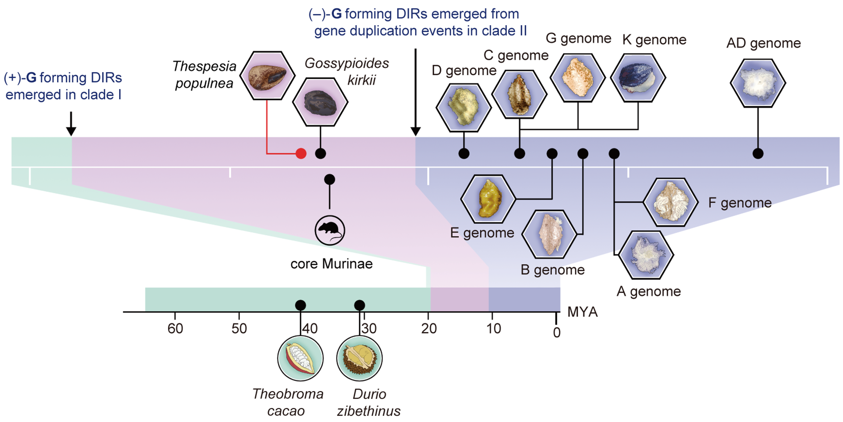 生物信息学分析